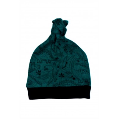 Hat green Dinosaurs